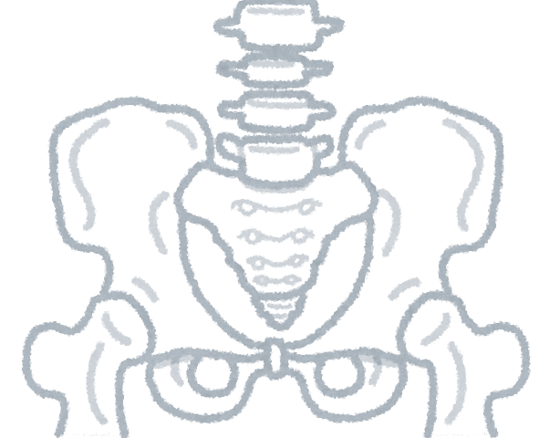 骨盤を整えると代謝が上がる？ダイエットにも役立つ骨格ケア