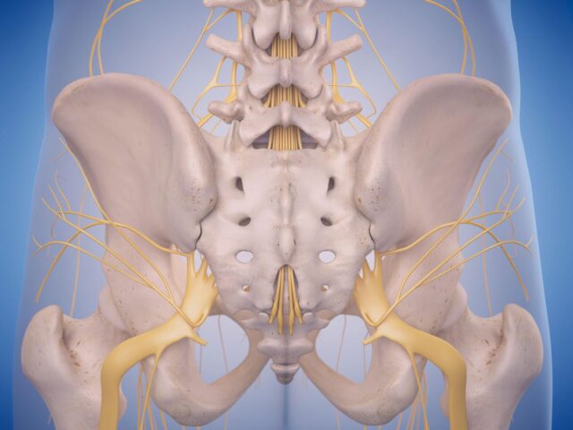 坐骨神経痛が改善しない原因は…