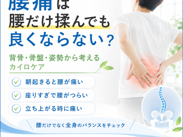 腰痛は腰だけ揉んでも良くならない？ 背骨・骨盤・姿勢から考えるカイロプラクティックケア